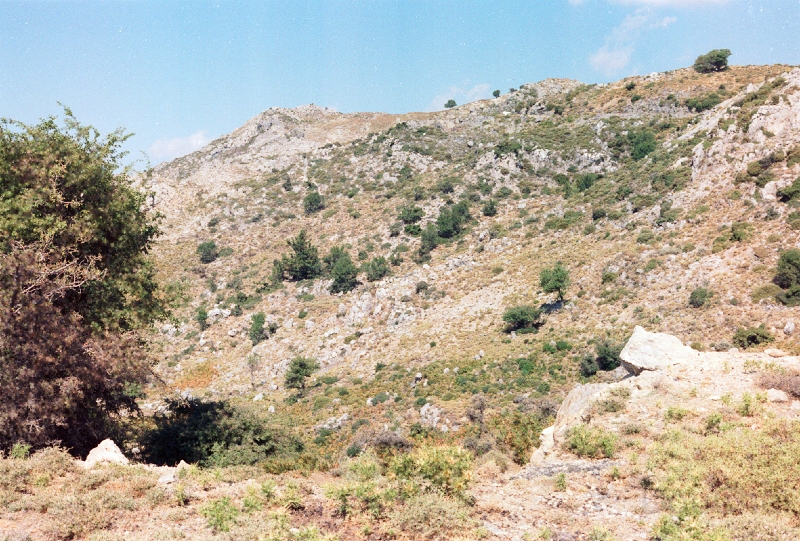 20110528_059.jpg