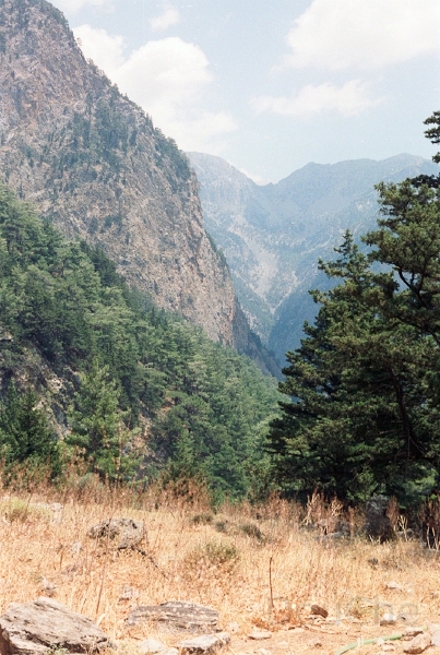 20110528_062.jpg