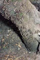 20110528_034