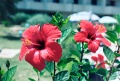 20110528_037