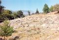 20110528_044