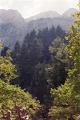 20110528_056