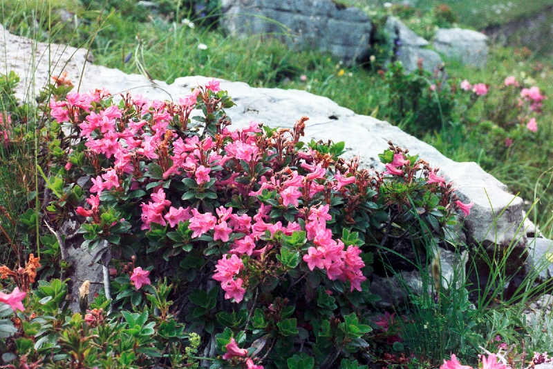 20110406_016.jpg