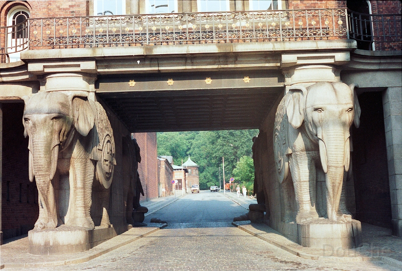 20110330_006.jpg