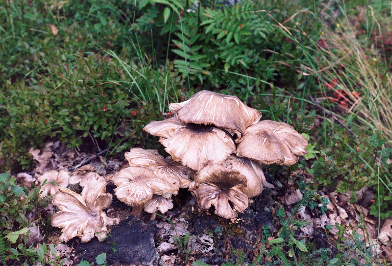20110330_027.jpg