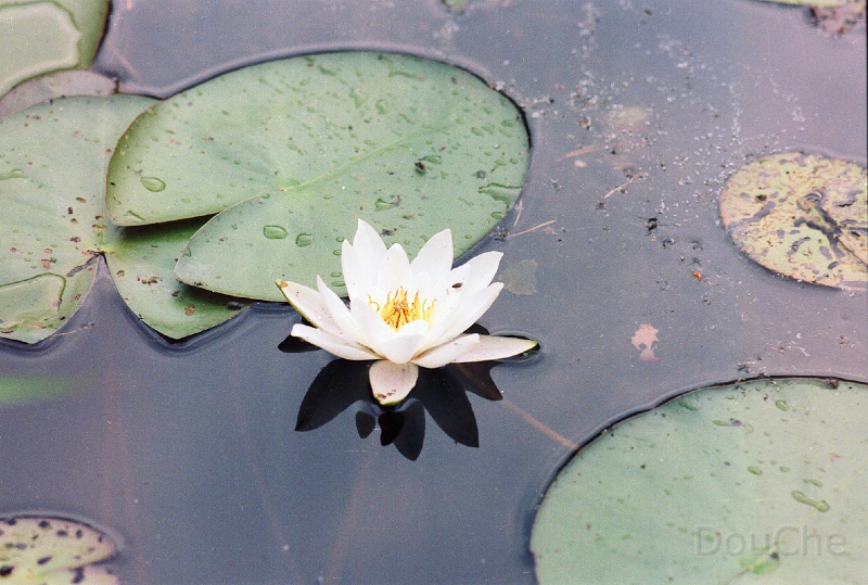 20110403_019.jpg