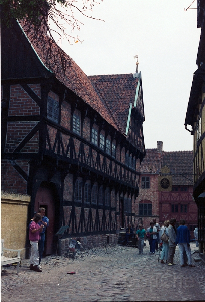20110403_029.jpg