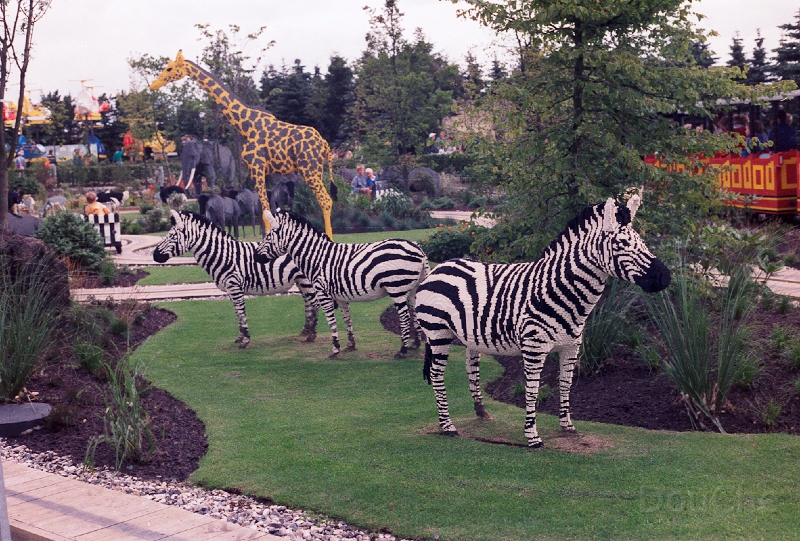 20110403_036.jpg
