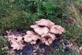 20110330_027