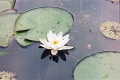 20110403_019