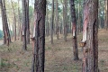 20110604_032