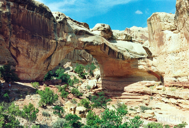 20110320_065.jpg