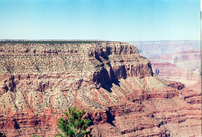 20110320_043.jpg