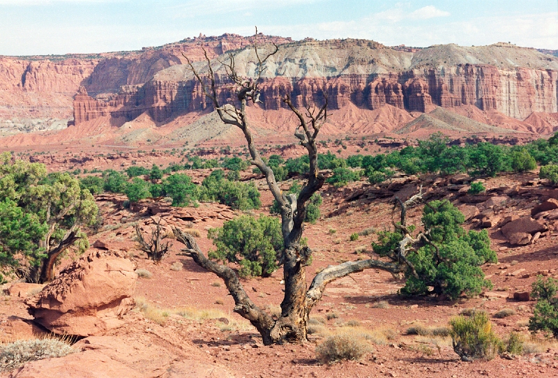 20110320_064.jpg