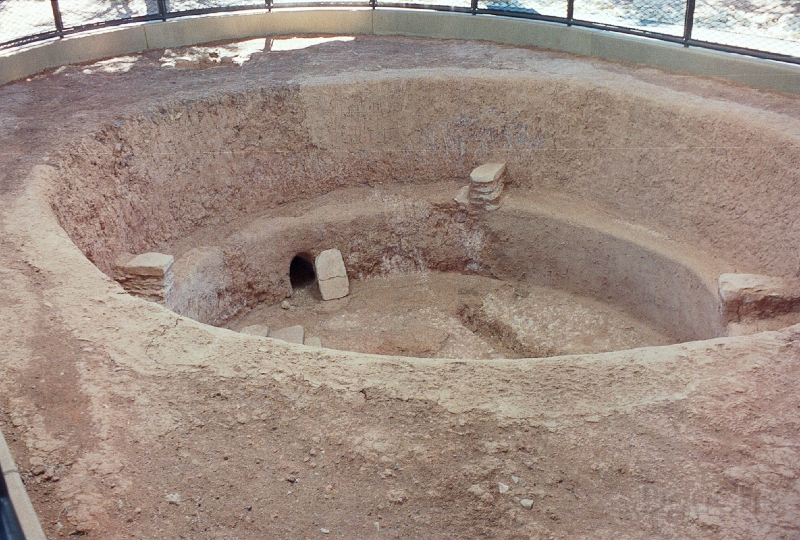 20110320_073.jpg