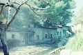 20110321_010