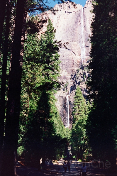 20110320_024.jpg