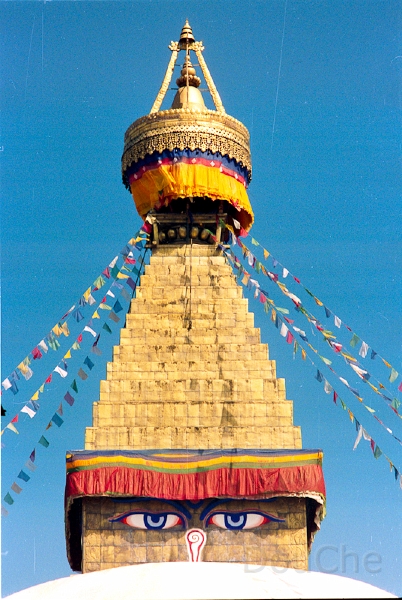 20110301_048.jpg