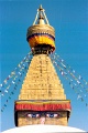 20110301_048