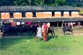 20110228_021