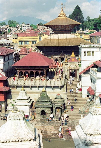 20110302_051.jpg