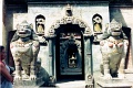 20110301_053