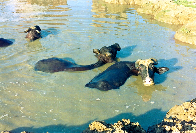 20110228_029.jpg