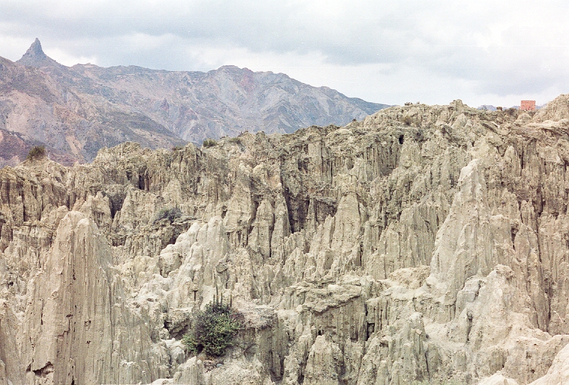 20110213_014.jpg