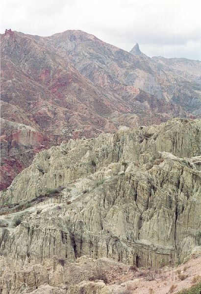 20110213_015.jpg