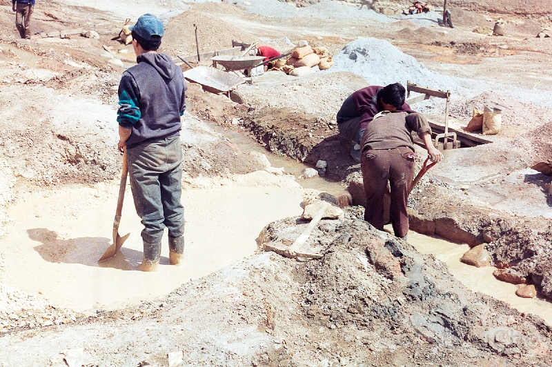 20110213_066.jpg