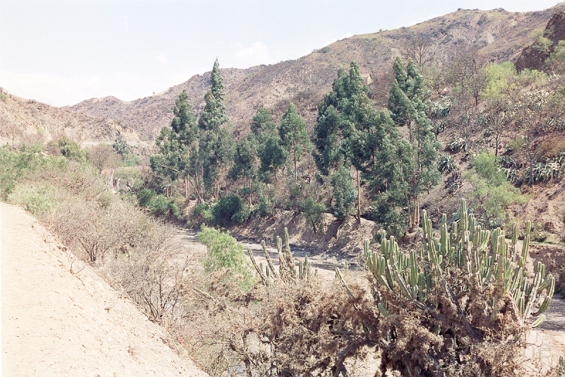 20110212_034.jpg