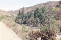 20110212_034