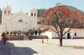 20110212_070