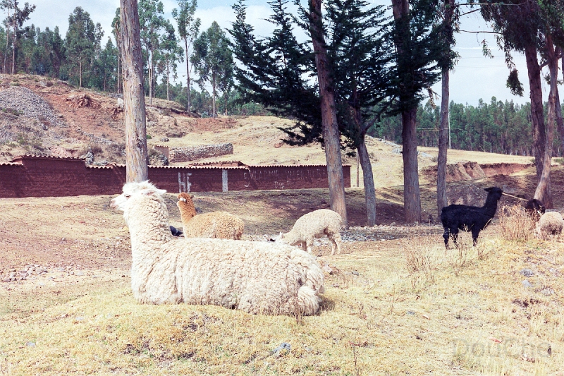 20110212_062.jpg