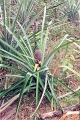 20110213_065