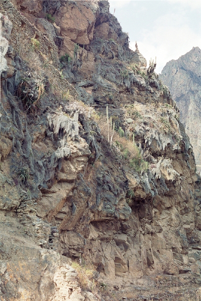 20110213_039.jpg