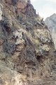 20110213_039