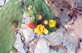 20110213_040