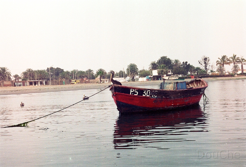 20110213_073.jpg