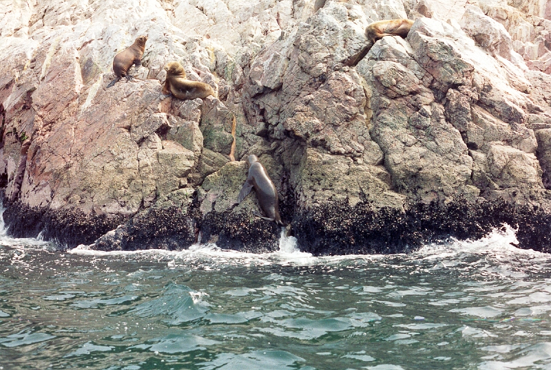 20110213_083.jpg
