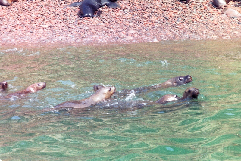 20110213_092.jpg