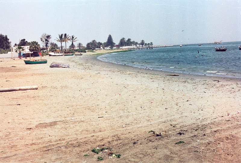 20110213_096.jpg