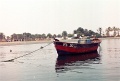 20110213_073