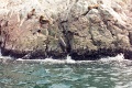 20110213_083