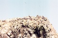 20110213_085