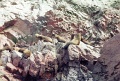 20110213_093