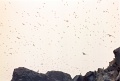 20110213_094