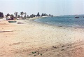 20110213_096