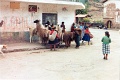 20110212_080