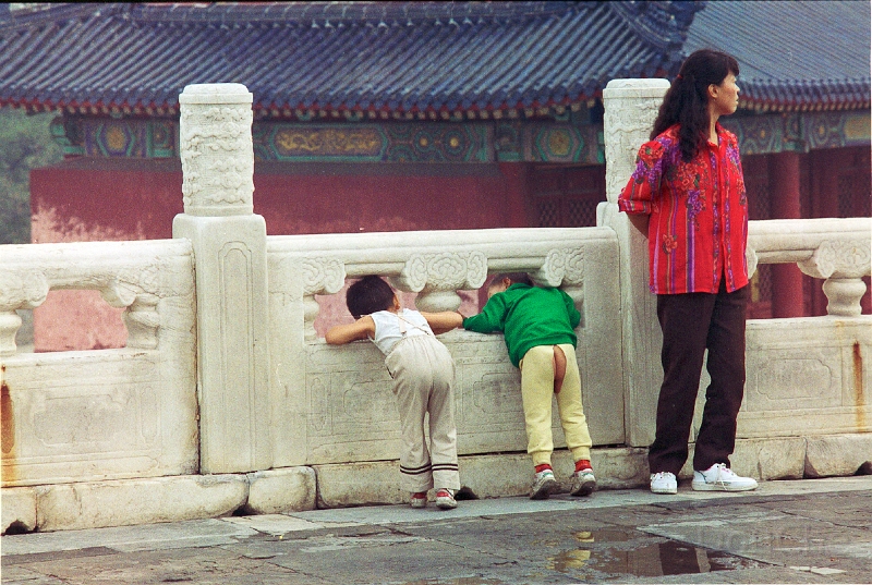 20110223_016.jpg